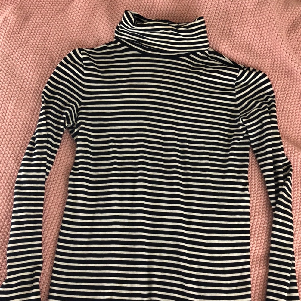 Jcrew stripped turtle neck